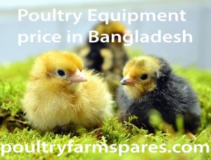 Poultry farm spares,<br />
Poultry farm spares price list,<br />
Poultry farm spares near me,<br />
Poultry farm spares online,<br />
Poultry farm spares online near me,<br />
Poultry farm equipment list,<br />
Poultry Equipment price list,<br />
Poultry farm equipment suppliers,<br />
Poultry farm equipment for sale,<br />
Poultry Equipment price in Bangladesh,<br />
Poultry farm Equipments,<br />
Used poultry farm spares price in bangladesh,<br />
Small poultry farm spares price in bangladesh,<br />
Poultry Equipment price in Bangladesh,<br />
Incubator parts price,<br />
Incubator price in Bangladeshh,<br />
500 Egg Incubator price in Bangladesh<br />
Poultry_farm_spares<br />
Poultry_farm_spares_price_list<br />
Poultry_farm_spares_near_me<br />
Poultry_farm_spares_online<br />
Poultry_farm_spares_online_near_me<br />
Poultry_farm_equipment_list<br />
Poultry_Equipment_price_list<br />
Poultry_farm_equipment_suppliers<br />
Poultry_farm_equipment_for_sale<br />
Poultry_Equipment_price_in_Bangladesh<br />
Poultry_farm_Equipments<br />
Used_poultry_farm_spares_price_in_bangladesh<br />
Small_poultry_farm_spares_price_in_bangladesh<br />
Poultry_Equipment_price_in_Bangladesh<br />
Incubator_parts_price<br />
Incubator_price_in_Bangladesh<br />
500_Egg_Incubator_price_in_Bangladesh