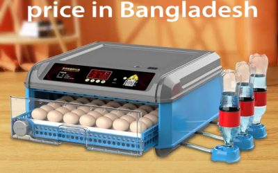 আপনার খামারের জন্য সঠিক ইনকিউবেটর কীভাবে নির্বাচন করবেন: একটি সম্পূর্ণ গাইড