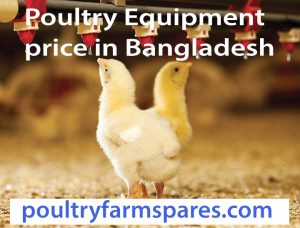 Poultry farm spares,<br />
Poultry farm spares price list,<br />
Poultry farm spares near me,<br />
Poultry farm spares online,<br />
Poultry farm spares online near me,<br />
Poultry farm equipment list,<br />
Poultry Equipment price list,<br />
Poultry farm equipment suppliers,<br />
Poultry farm equipment for sale,<br />
Poultry Equipment price in Bangladesh,<br />
Poultry farm Equipments,<br />
Used poultry farm spares price in bangladesh,<br />
Small poultry farm spares price in bangladesh,<br />
Poultry Equipment price in Bangladesh,<br />
Incubator parts price,<br />
Incubator price in Bangladeshh,<br />
500 Egg Incubator price in Bangladesh<br />
Poultry_farm_spares<br />
Poultry_farm_spares_price_list<br />
Poultry_farm_spares_near_me<br />
Poultry_farm_spares_online<br />
Poultry_farm_spares_online_near_me<br />
Poultry_farm_equipment_list<br />
Poultry_Equipment_price_list<br />
Poultry_farm_equipment_suppliers<br />
Poultry_farm_equipment_for_sale<br />
Poultry_Equipment_price_in_Bangladesh<br />
Poultry_farm_Equipments<br />
Used_poultry_farm_spares_price_in_bangladesh<br />
Small_poultry_farm_spares_price_in_bangladesh<br />
Poultry_Equipment_price_in_Bangladesh<br />
Incubator_parts_price<br />
Incubator_price_in_Bangladesh<br />
500_Egg_Incubator_price_in_Bangladesh