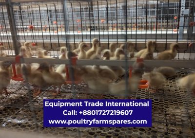 Poultry equipment suppliers