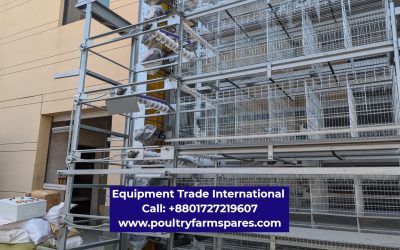 Poultry equipment suppliers in Bangladesh