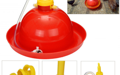 Essential Types of Poultry Equipment Every Farm Needs