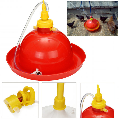 Essential Types of Poultry Equipment Every Farm Needs