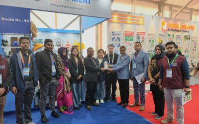 সরাসরি মেলা থেকে: কাস্টমারদের সাথে আমাদের অভিজ্ঞতা এবং পোল্ট্রি ইকুইপমেন্ট নিয়ে আলোচনা